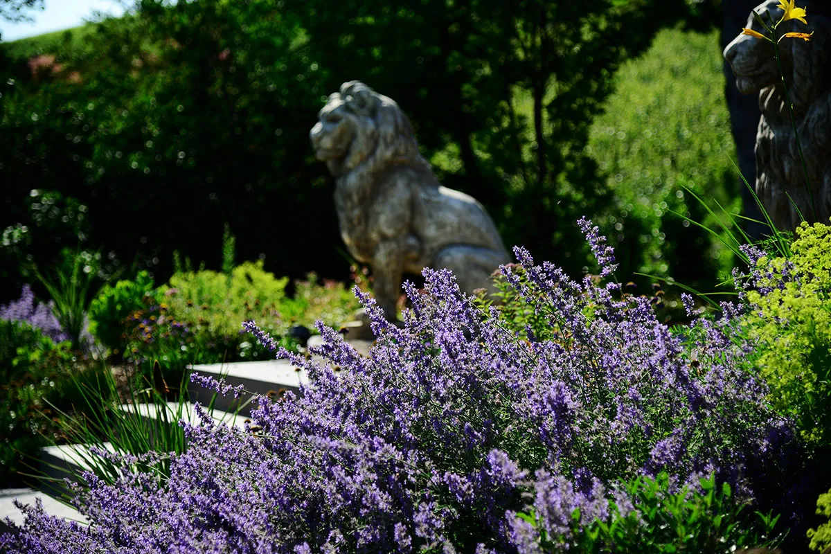 Garten- & Baumpflege